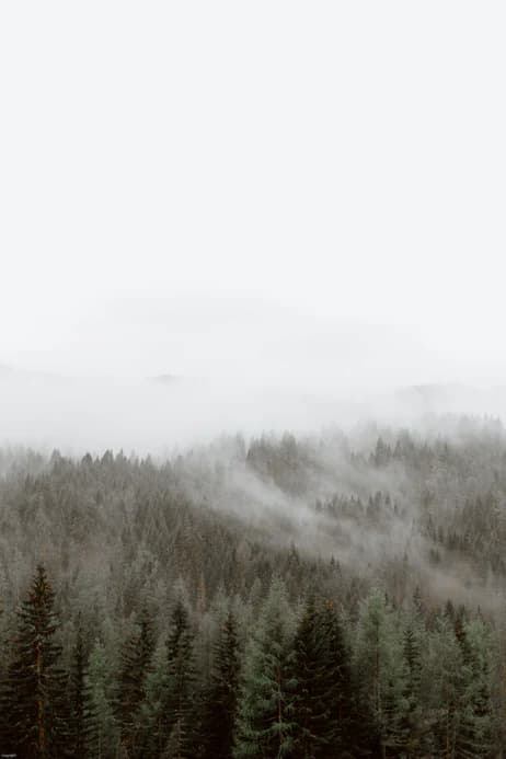 Climate Matters